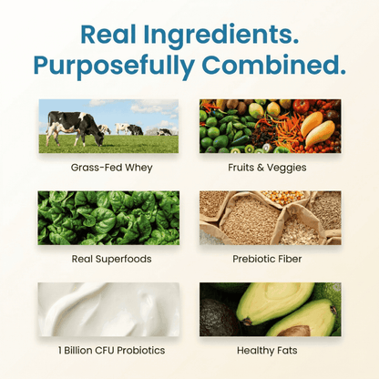 TrueFit Protein